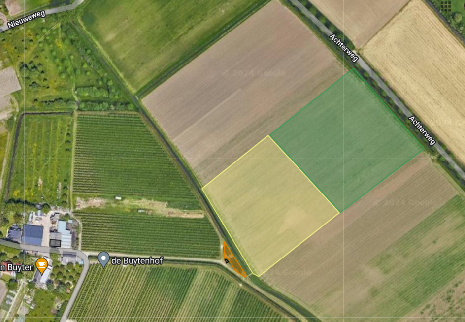 We starten met circa 3,5 hectare op het perceel van boer Wiard Visser van de Buytenhof